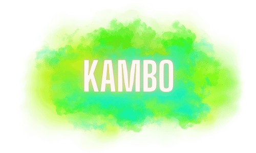 The-best-kambo-guide
